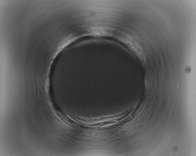 X0000098230488200805081225