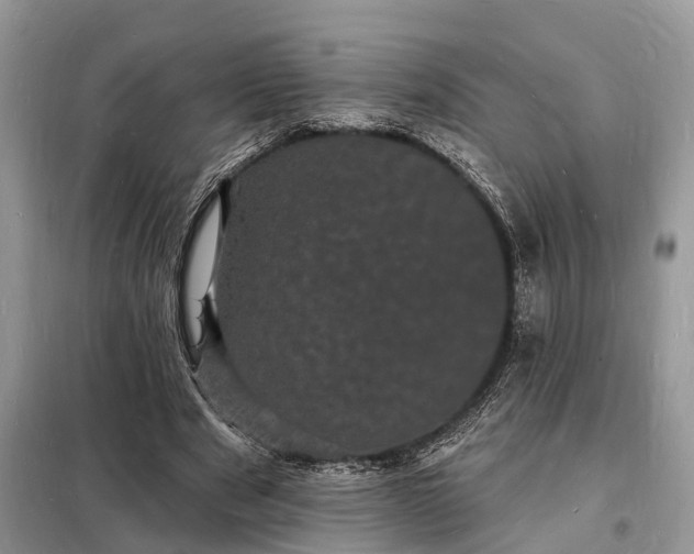 X0000098230489200805081225