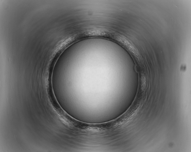 X0000098230490200805081225