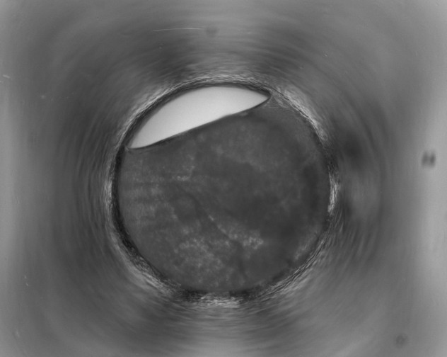 X0000098230491200805081225