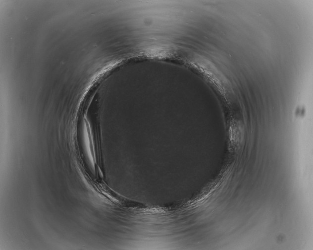 X0000098230492200805081225