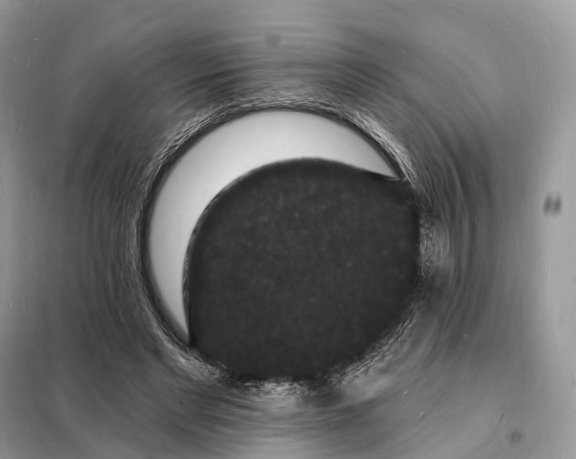 X0000098230493200805081225