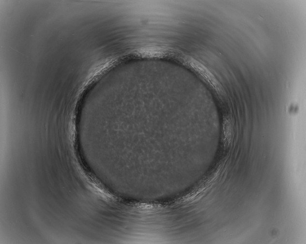 X0000098230494200805081225