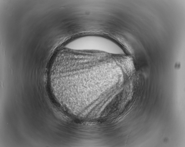 X0000098230495200805081225