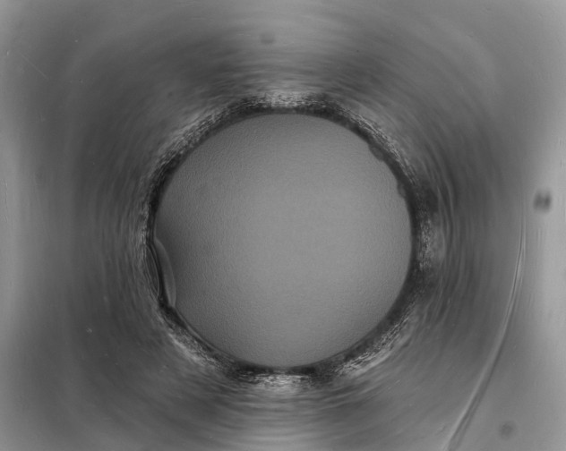 X0000098230497200805081225