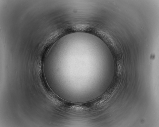 X0000098230498200805081225