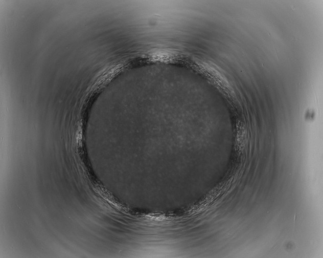 X0000098230502200805081225