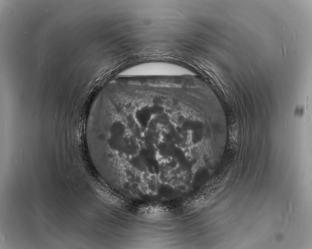 X0000098230503200805081225