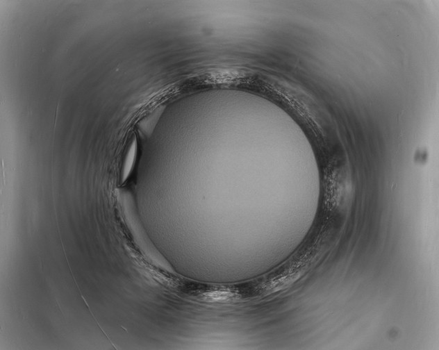 X0000098230505200805081225