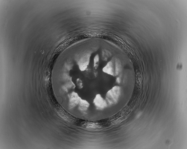 X0000098230507200805081225