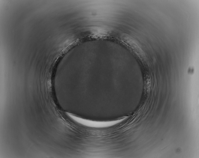 X0000098230508200805081225