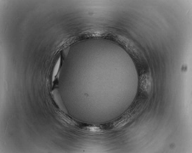 X0000098230509200805081225