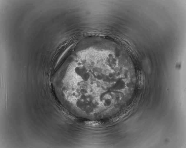 X0000098230511200805081225