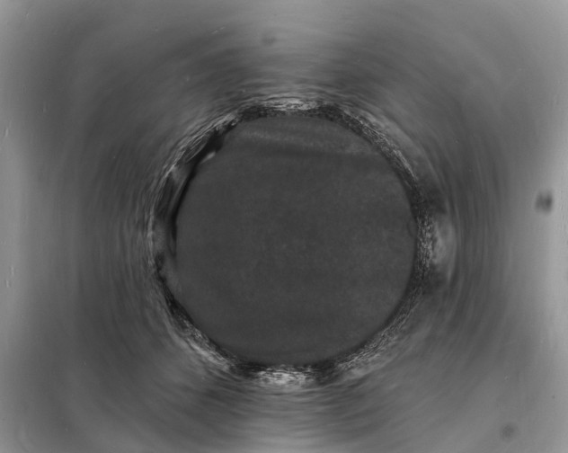 X0000098230512200805081225