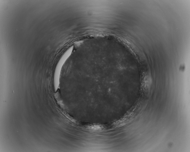 X0000098230513200805081225