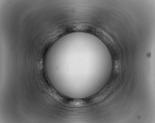 X0000098230514200805081225