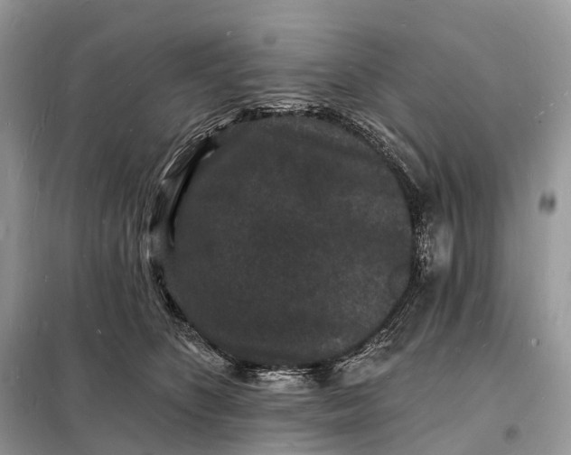 X0000098230516200805081225