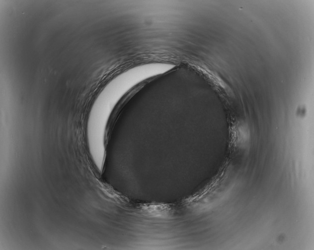 X0000098230517200805081225