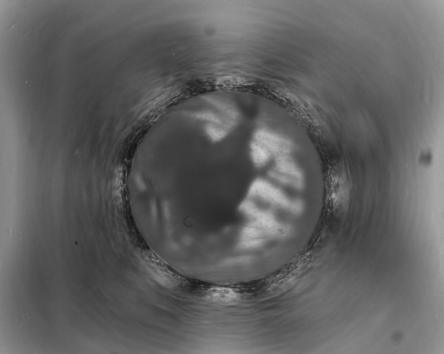 X0000098230519200805081225