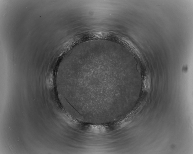 X0000098230520200805081225