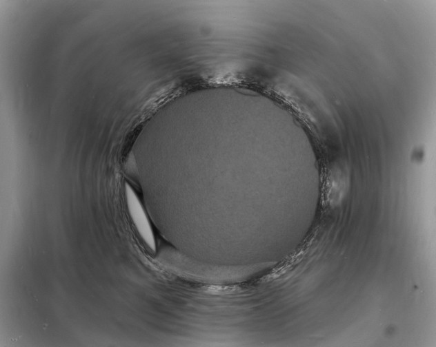 X0000098230521200805081225