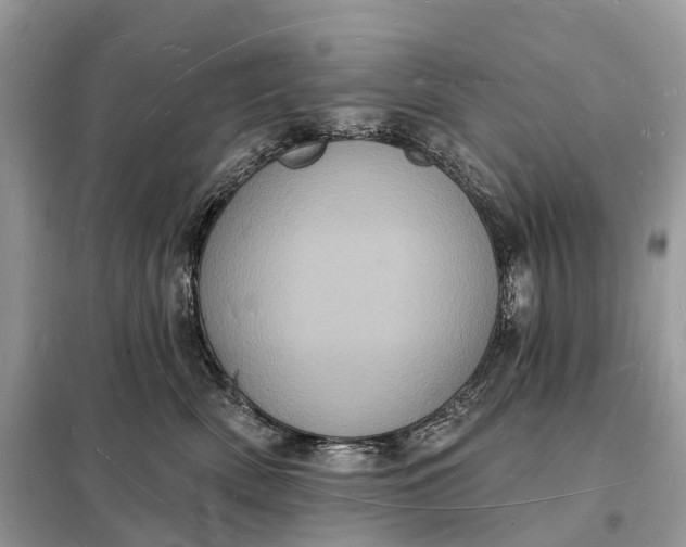 X0000098230522200805081225