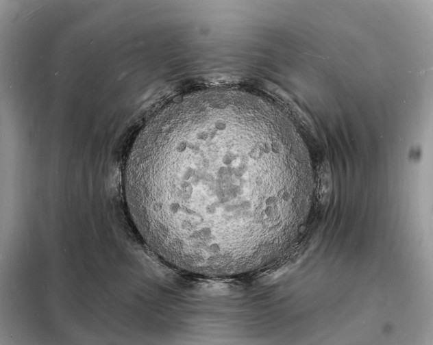 X0000098230523200805081225