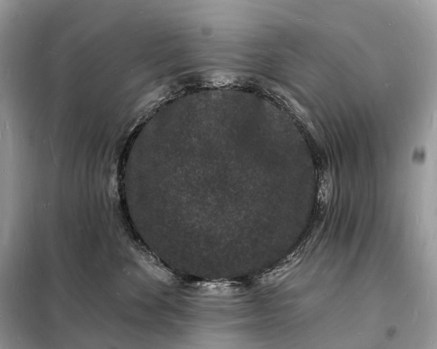 X0000098230524200805081225