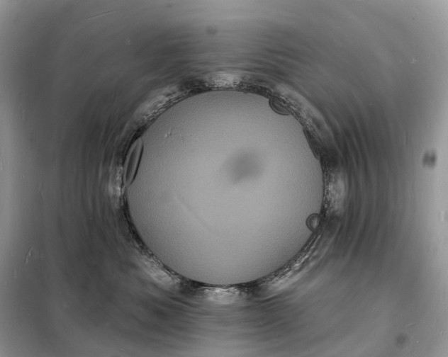 X0000098230525200805081225