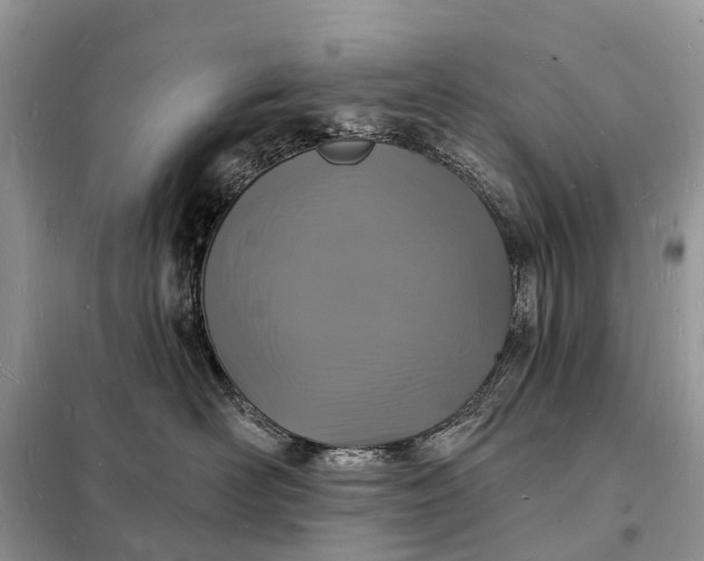 X0000098230526200805081225