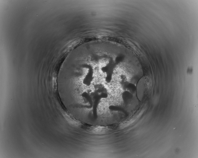 X0000098230527200805081225