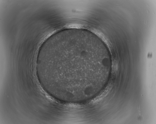 X0000098230529200805081224