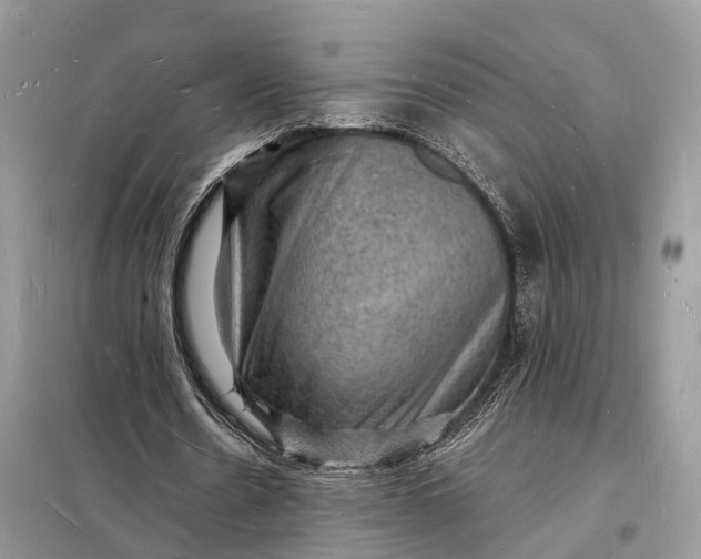 X0000098230530200805081224