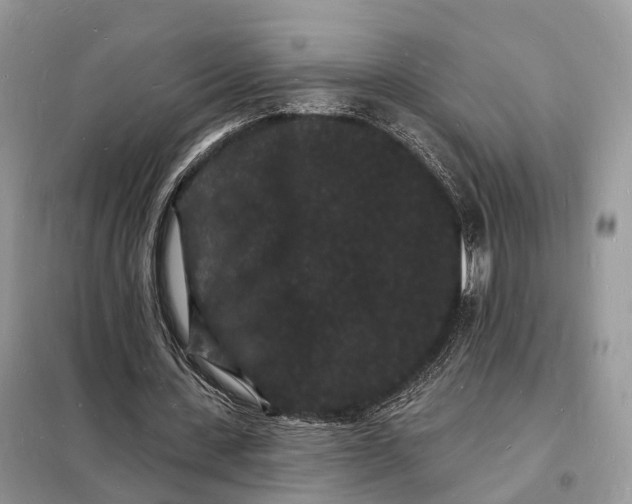 X0000098230531200805081224