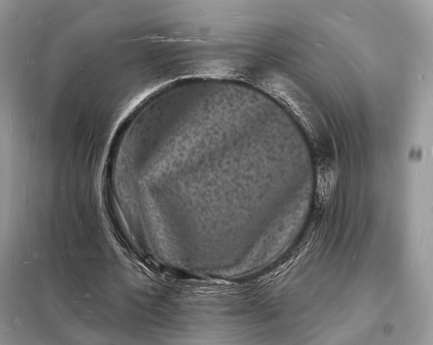 X0000098230532200805081224