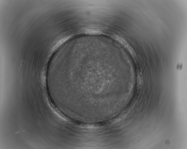 X0000098230533200805081224