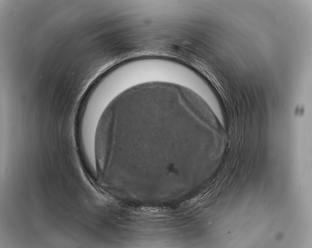 X0000098230534200805081224