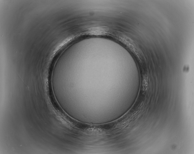 X0000098230535200805081224