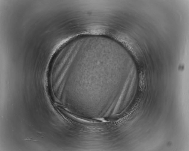 X0000098230536200805081224