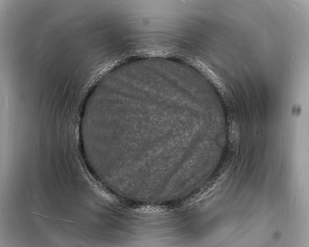 X0000098230537200805081224