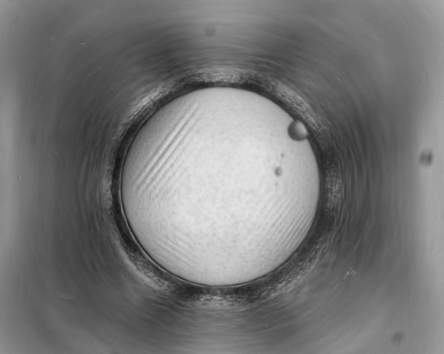 X0000098230538200805081224