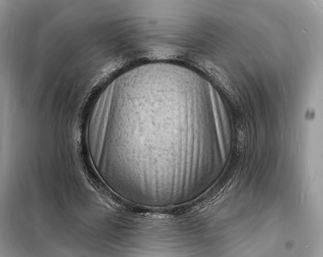 X0000098230539200805081224