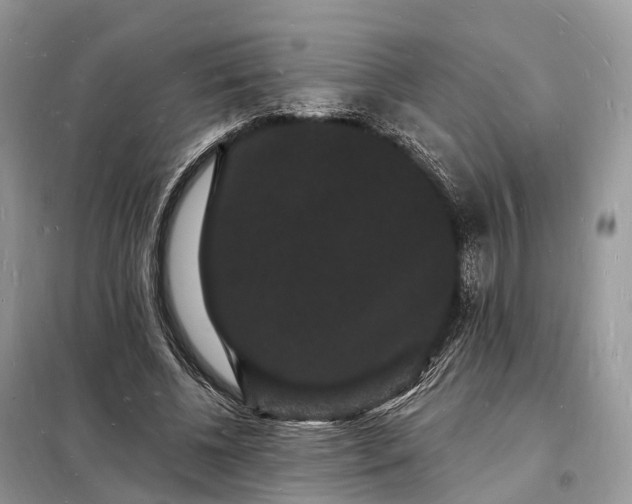 X0000098230540200805081224