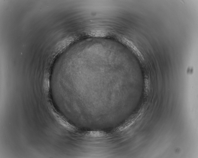 X0000098230541200805081224