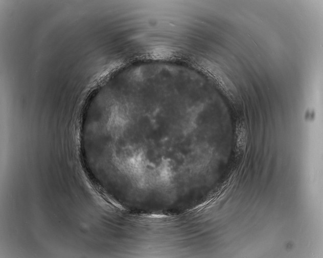 X0000098230542200805081224