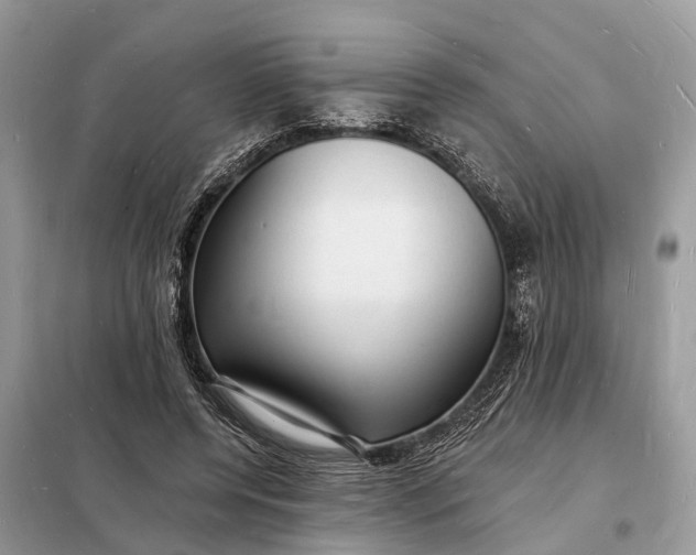 X0000098230544200805081224