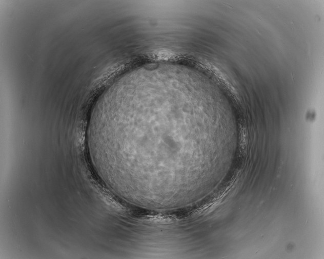 X0000098230545200805081224