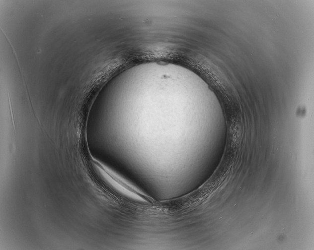 X0000098230546200805081224