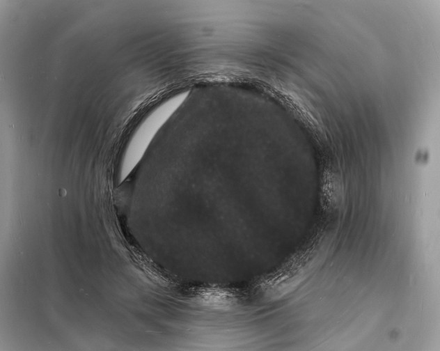 X0000098230547200805081224