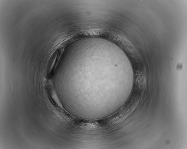 X0000098230548200805081224